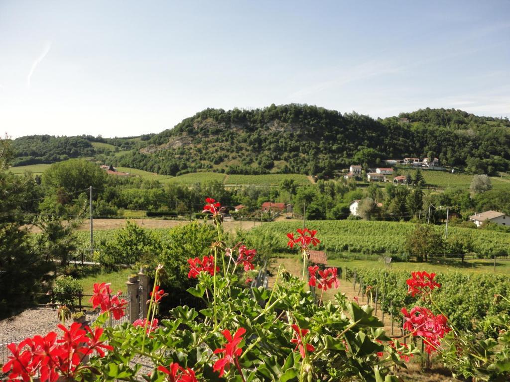 Agriturismo Nonna Du Gavi Ngoại thất bức ảnh